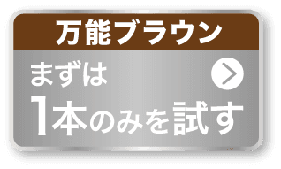 cax_new2024_1setbtn_brown.png