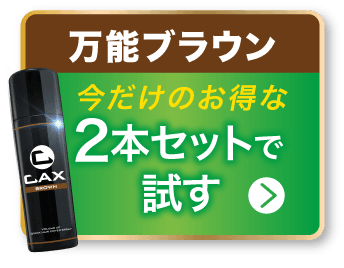 cax_new2024_2setbtn_brown.png