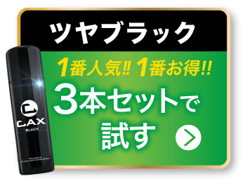 cax_new2024_3setbtn_black.png