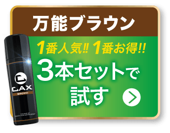 cax_new2024_3setbtn_brown.png